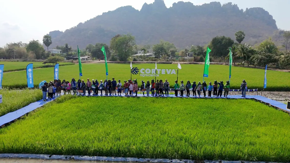 “ลอแยนต์” เทคโนโลยีใหม่เพื่อเกษตรกรไทยรับมือวัชพืชดื้อยาในนาข้าว