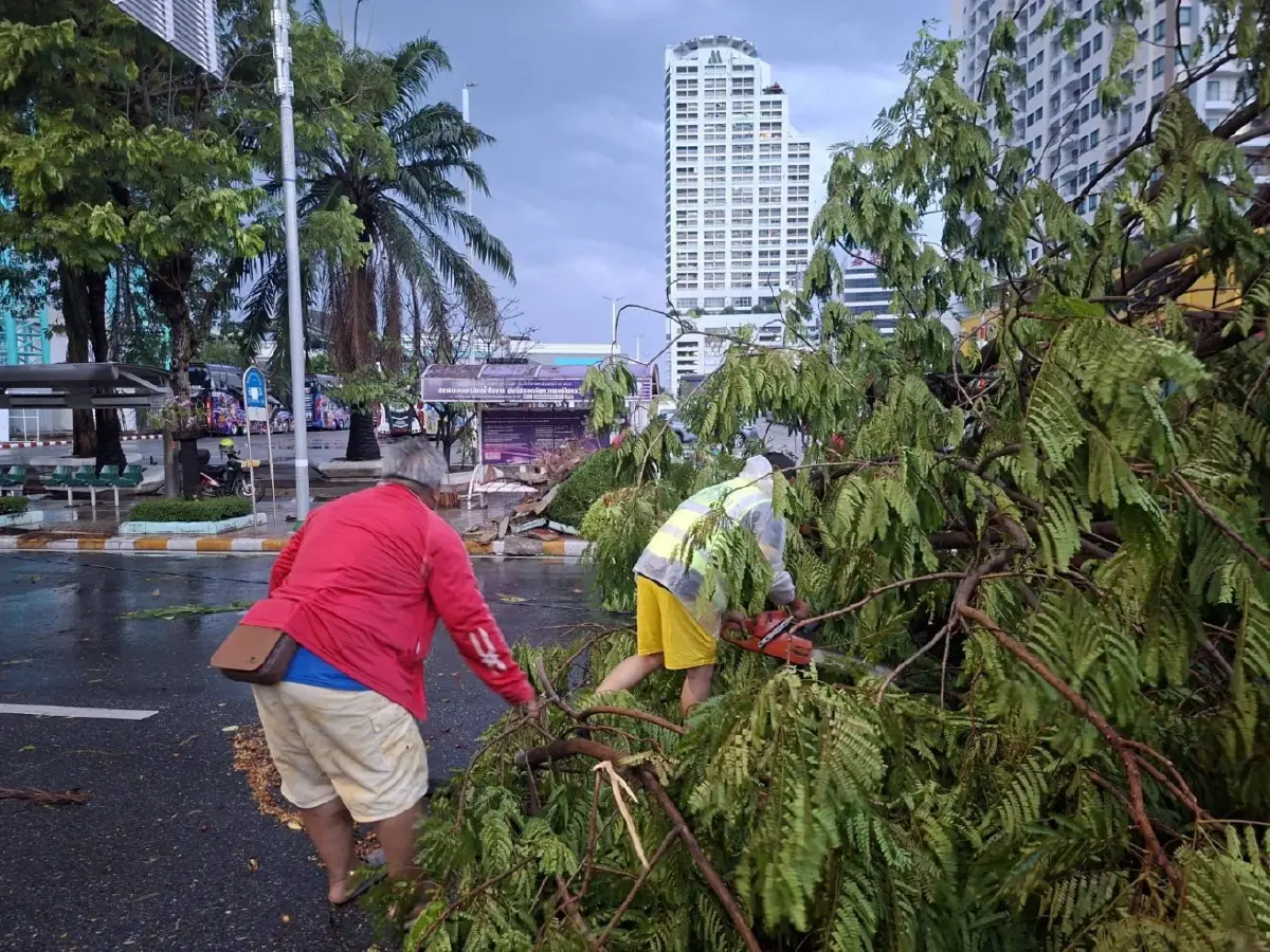 พายุฤดูร้อนถล่มกรุงเทพ 'ยานนาวา' ฝนตกหนัก ลมแรง ต้นไม้ล้มขวางถนน