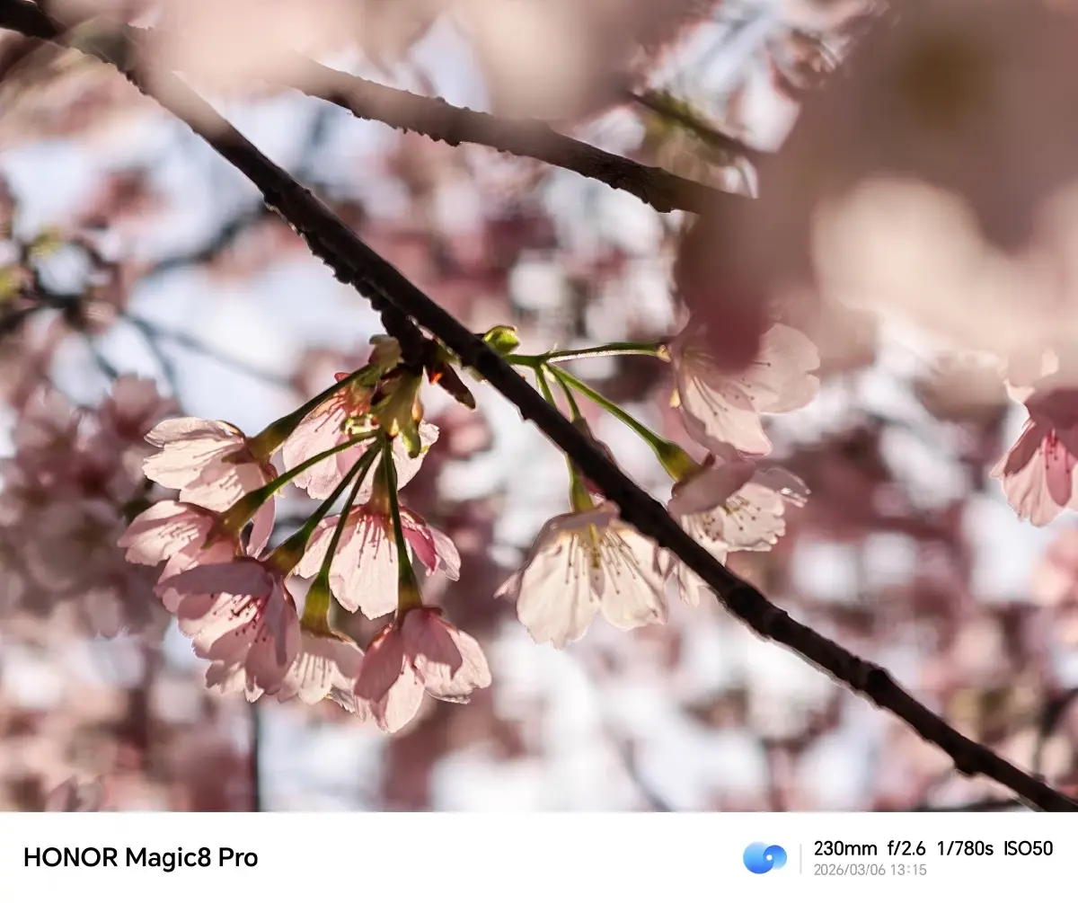 ลุยราชมังฯ ยันฟูจิ! รีวิว 'HONOR Magic8 Pro' สมาร์ตโฟน AI สายถ่ายภาพ