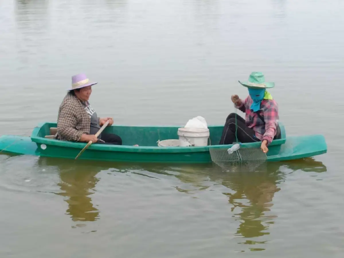 ปูทะเลเพชรบุรีราคาพุ่ง! ปูไข่แตะ 700 บาท ดันรายได้เกษตรกรดี