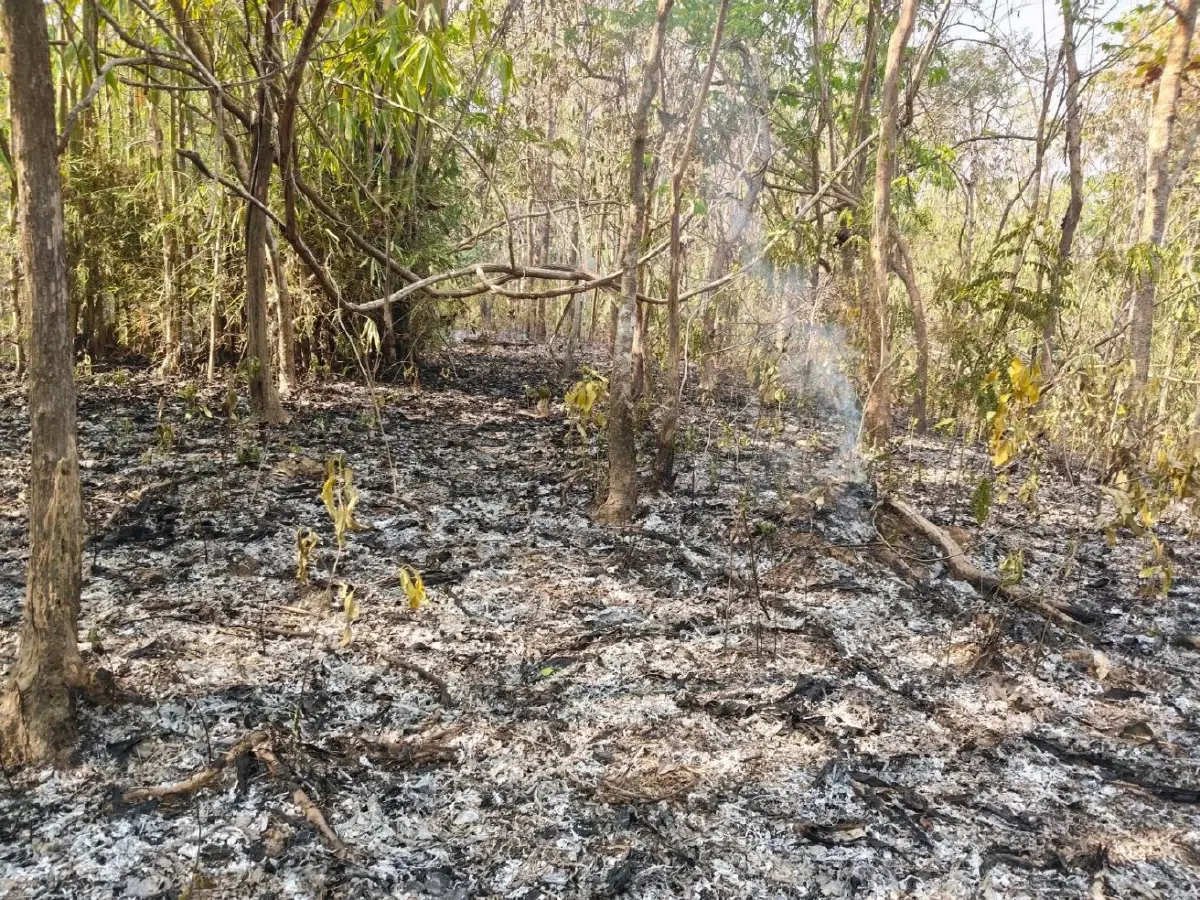 จนท.เขาแหลม ระดมกำลังดับไฟป่าสังขละบุรี-ทองผาภูมิ หลังพบ Hotspot พุ่ง 31 จุด