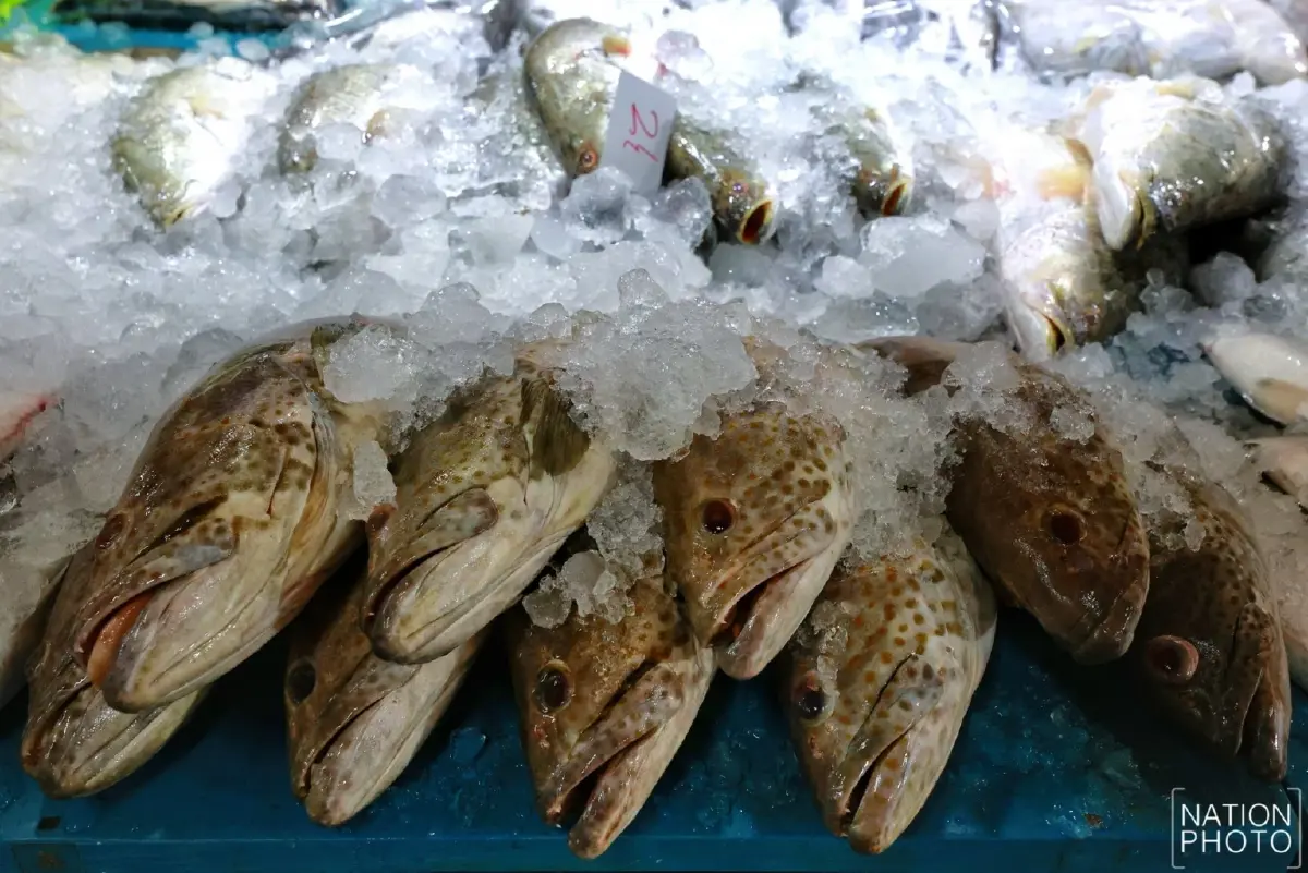 น้ำมันแพง กระทบ แพปลา เรือจอดสนิท วอนรัฐ คุมเข้มราคา ก่อนของแพงอีก