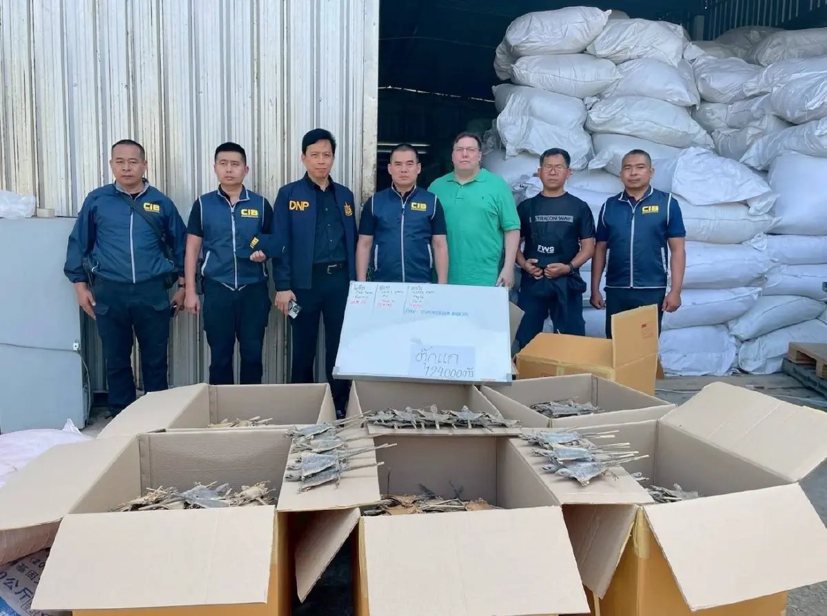 ช็อกโกดังลำลูกกา ยึดซากตุ๊กแก 1.2 แสนตัว เตรียมส่งนอก โยงคดีดัง 68