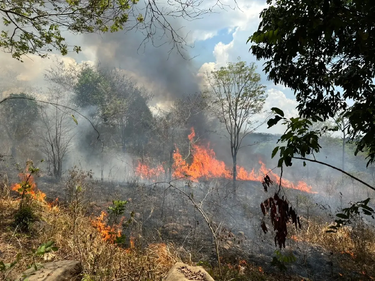 คุมไฟป่าทับลาน 160 ไร่อยู่หมัด! สั่งเฝ้าระวัง 24 ชม. หวั่นประทุซ้ำ