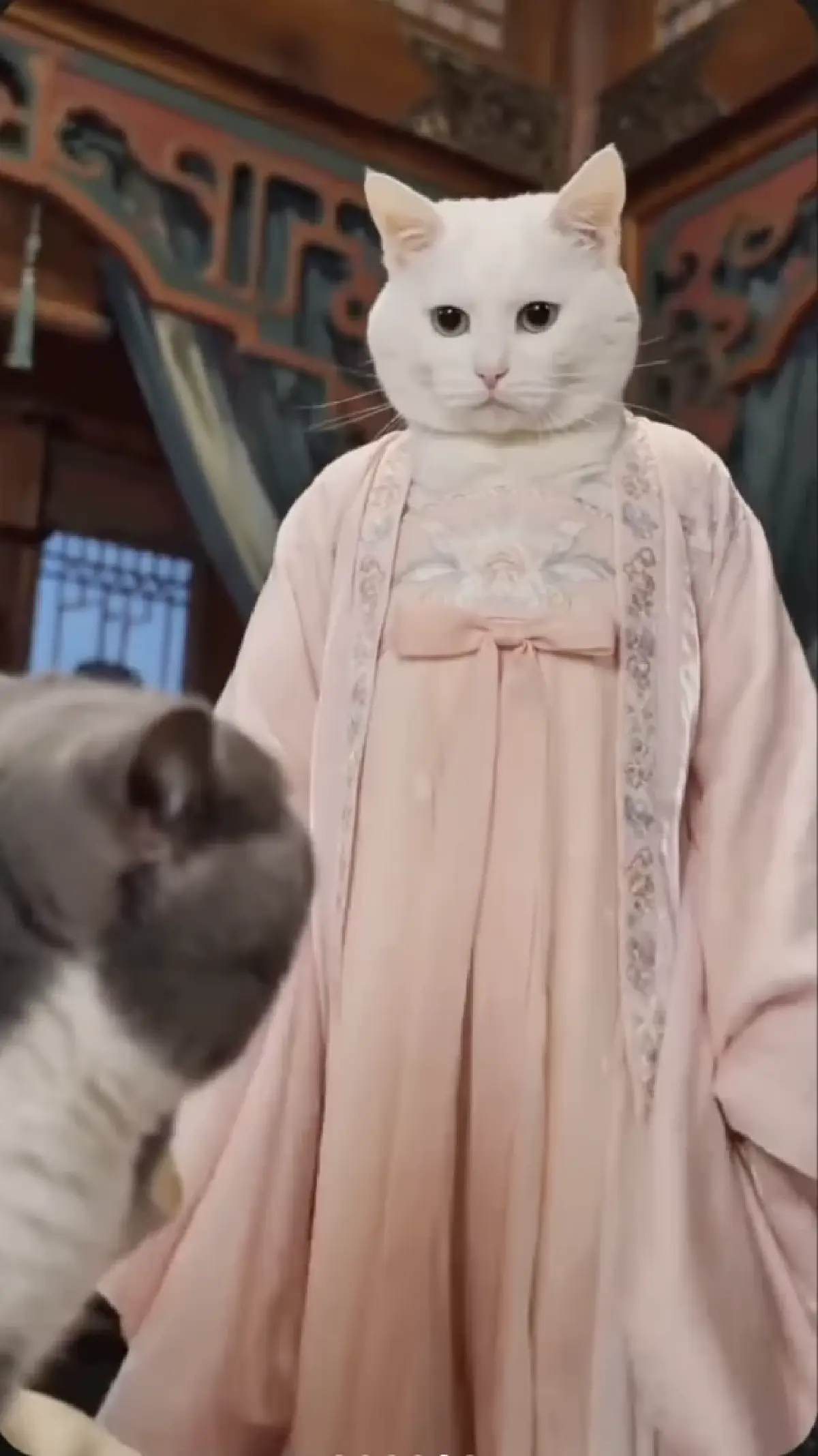 ละครหมาแมวแนวตั้ง กระแสแรง! ละครคุณธรรม นำแสดงโดย 'หมาแมว AI'