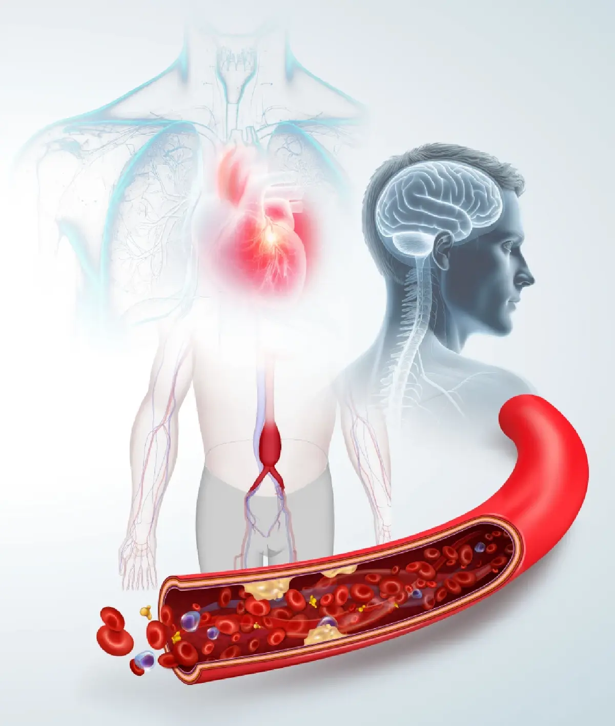 คนไทยเสียชีวิตกะทันหันชั่วโมงละ 8 คน วัยทำงาน-นักกีฬาเสี่ยงสุด