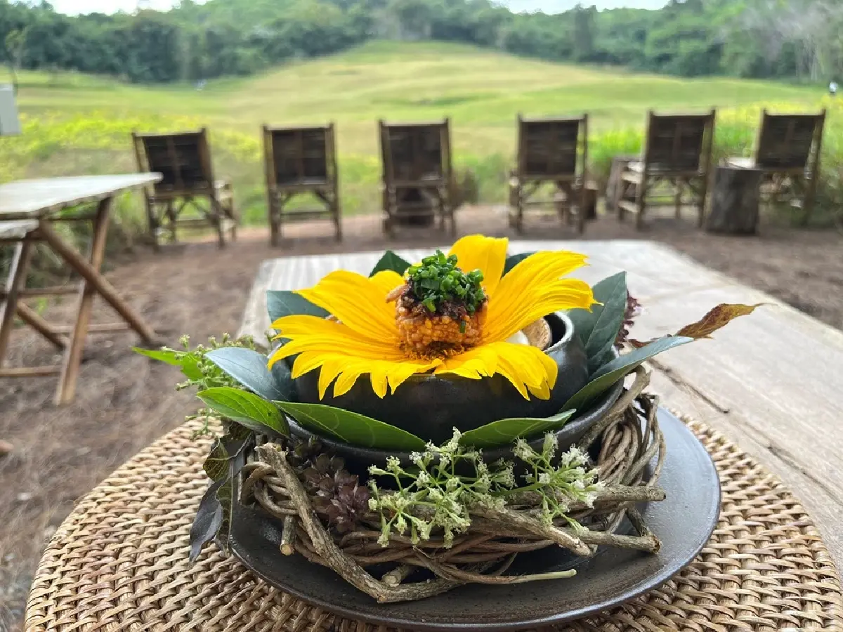 Bloom by Wuttisak : ความหลากหลายทางชีวภาพเขาใหญ่ - มรดกอาหารอีสาน