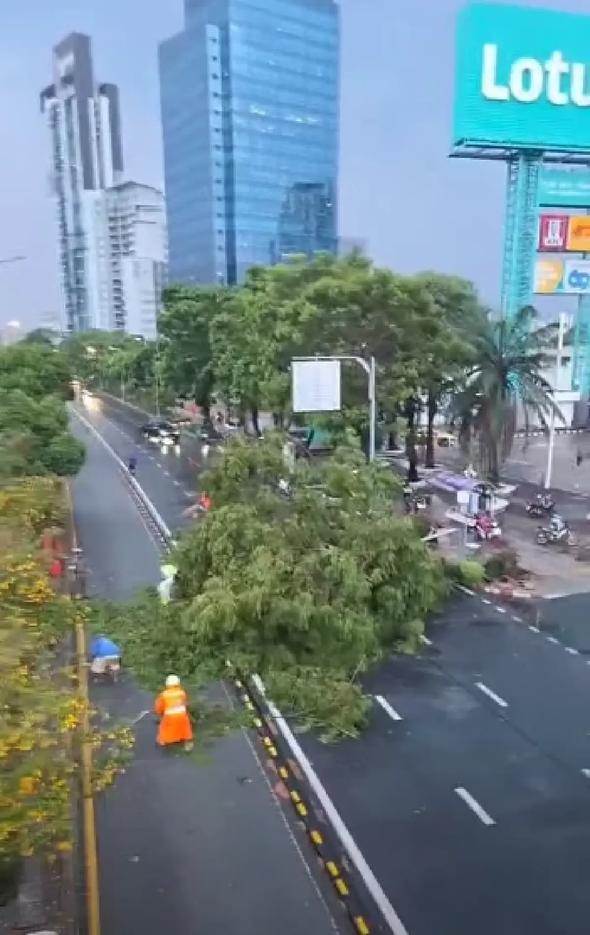 พายุฤดูร้อนถล่มกรุงเทพ 'ยานนาวา' ฝนตกหนัก ลมแรง ต้นไม้ล้มขวางถนน