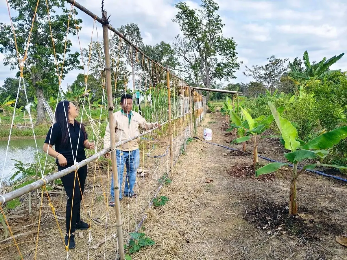 กรมพัฒนาที่ดินขุดสระ 1,260 ลบ.ม. แก้ภัยแล้งนอกเขตชลประทาน