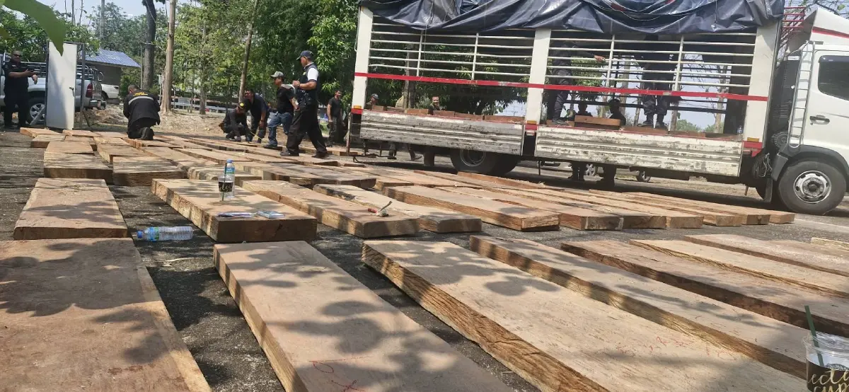 บิ๊กล็อต จับขบวนการค้าไม้ประดู่เถื่อน เตรียมส่งโกดังภาคกลาง อุทยานฯ เร่งขยายผลล่านายทุน