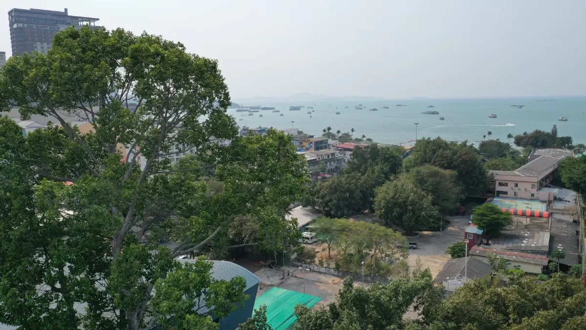 The Yang Project พลิกโฉมโครงการพัฒนาอสังหาฯ พัทยาด้วยหัวใจอนุรักษ์