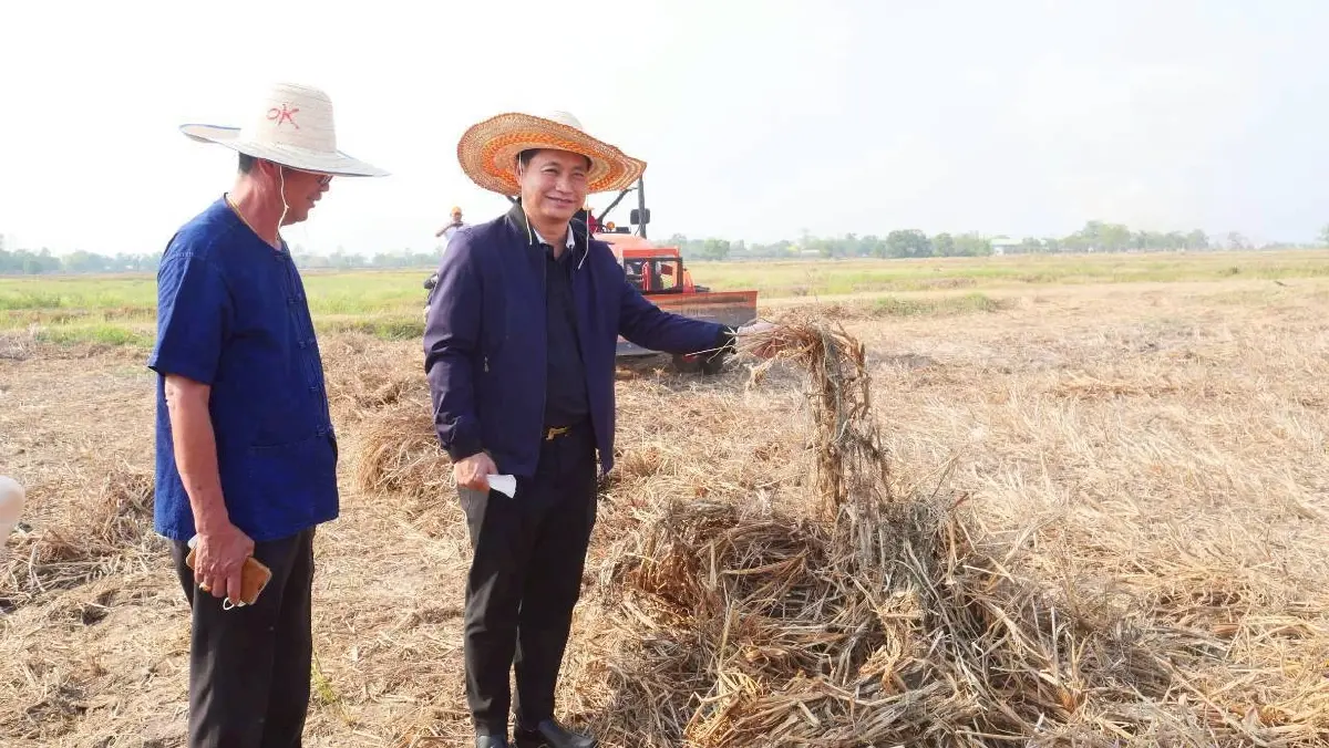 นวัตกรรม Rotary Mulcher เปลี่ยนตอซังเป็นทอง ลดเผา กักเก็บคาร์บอน