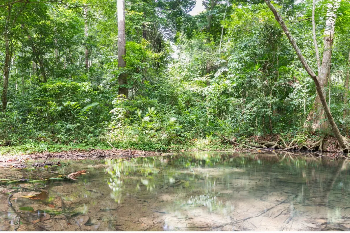 ฟื้นฟูความหลากหลายทางชีวภาพ  เพื่อรักษาต้นทุนน้ำในวันที่โลกเดือด