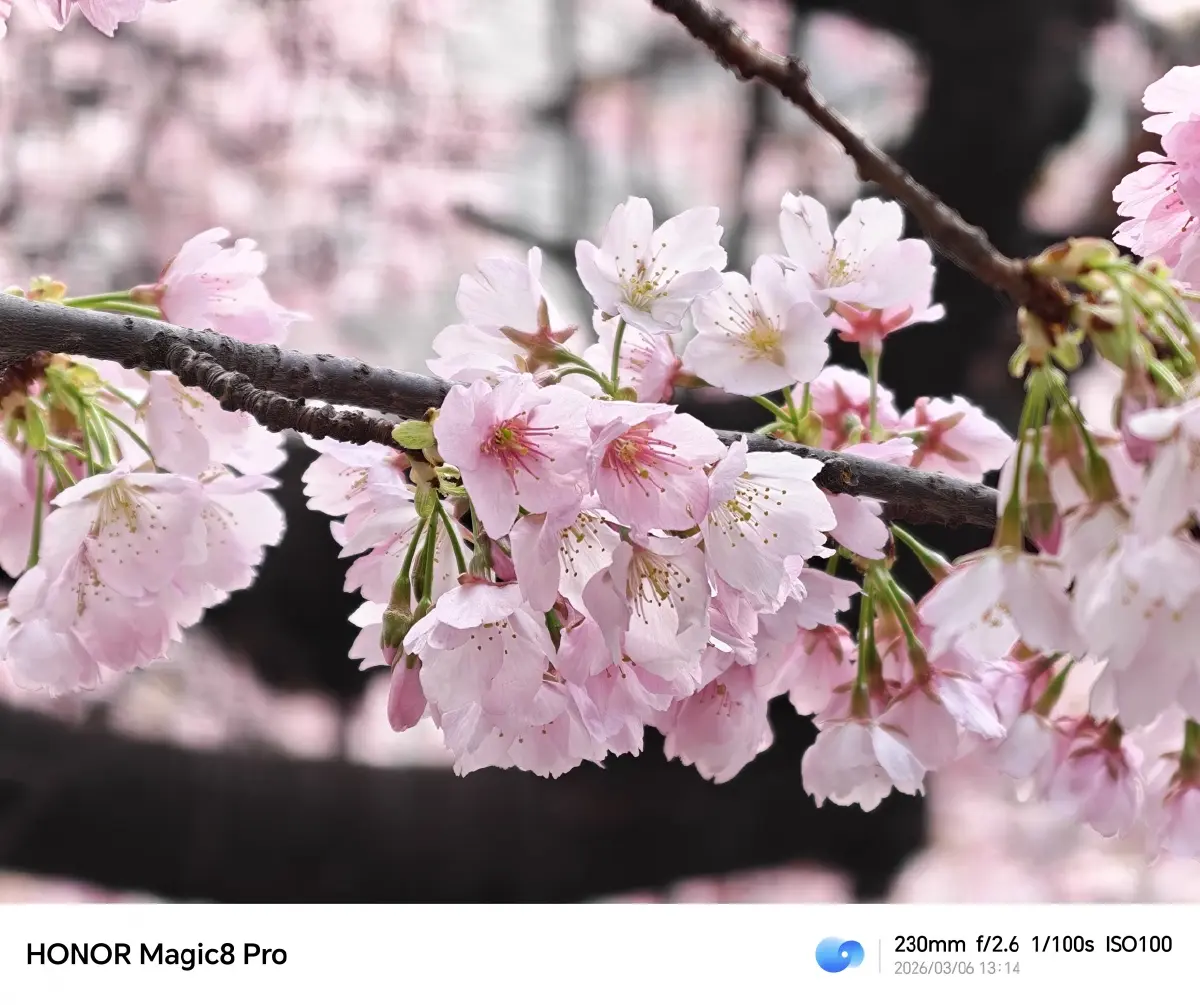 ลุยราชมังฯ ยันฟูจิ! รีวิว 'HONOR Magic8 Pro' สมาร์ตโฟน AI สายถ่ายภาพ