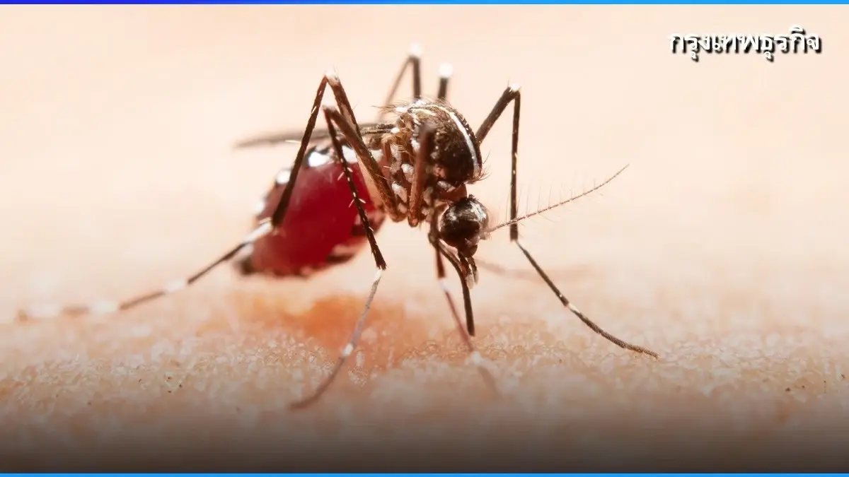 สภากาชาดไทย ฉีดวัคซีนไข้เลือดออก ราคาพิเศษ ถึง 31 ก.ค.69