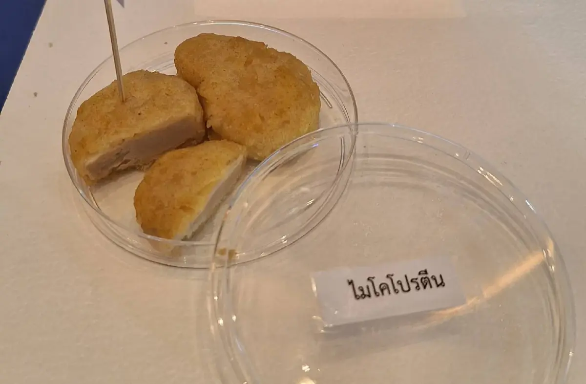 'ไมโคโปรตีน' อาหารแห่งอนาคต ผลิตจากเส้นใยเชื้อรา ไม่มีคอเลสเตอรอล แคลอรี่ต่ำ