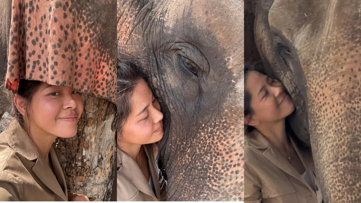 ทฤษฎีแห่งความสุข : สุข … ใจ … ช้าง โดย ธันย่า - ธันยลักษณ์ พรหมมณี