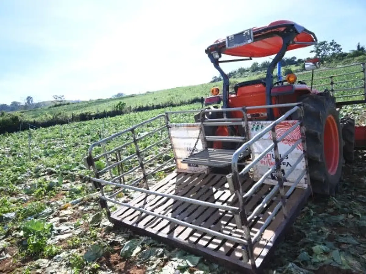 สต๊อก น้ำมันสหกรณ์ เหลือ 61 ล้านลิตร  วางเป้าใช้‘พลังงานสะอาด’ทดแทน