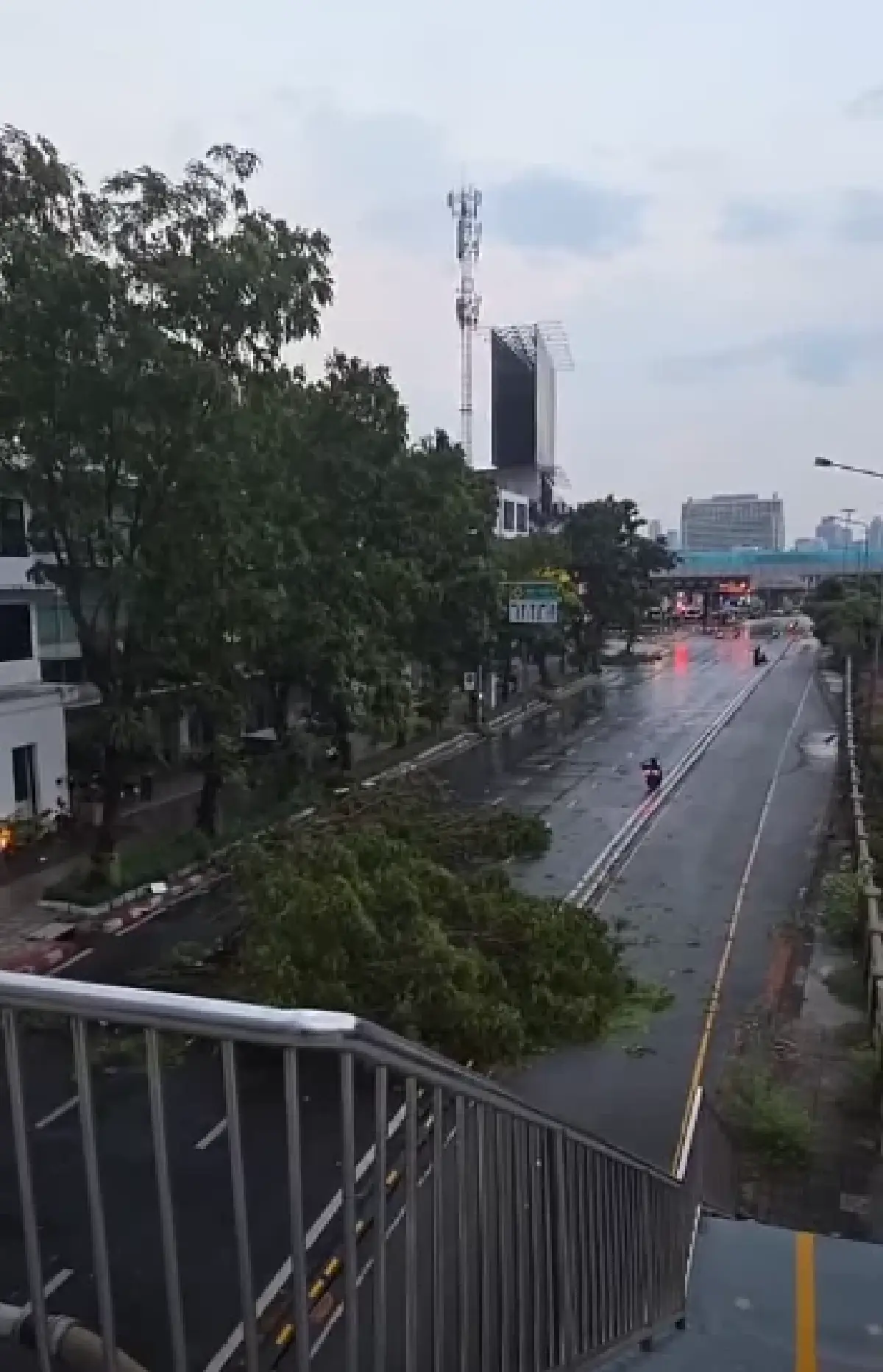 พายุฤดูร้อนถล่มกรุงเทพ 'ยานนาวา' ฝนตกหนัก ลมแรง ต้นไม้ล้มขวางถนน