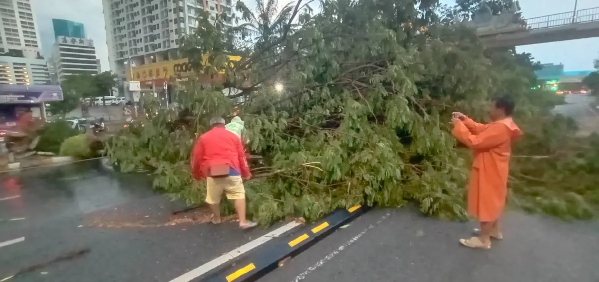 พายุฤดูร้อนถล่มกรุงเทพ 'ยานนาวา' ฝนตกหนัก ลมแรง ต้นไม้ล้มขวางถนน