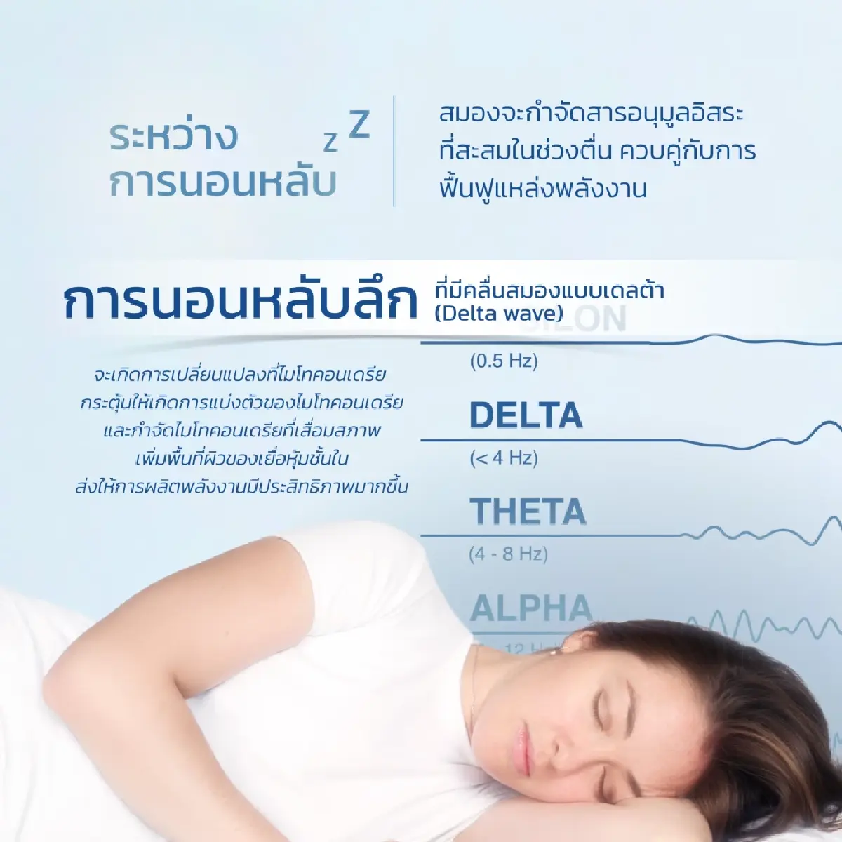 เตือน! 'อดนอน' เสี่ยงทำลายสมอง  ย้ำ 'การนอนคุณภาพ' กุญแจสุขภาพดี