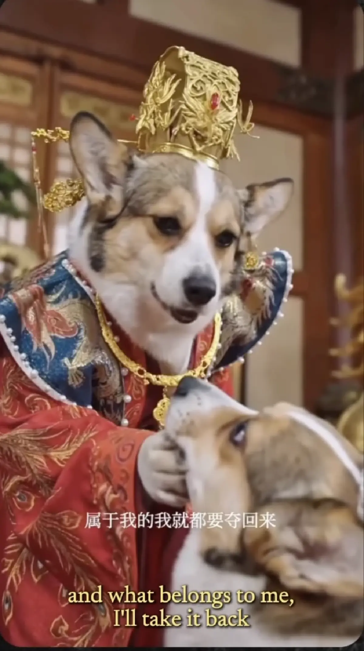 ละครหมาแมวแนวตั้ง กระแสแรง! ละครคุณธรรม นำแสดงโดย 'หมาแมว AI'