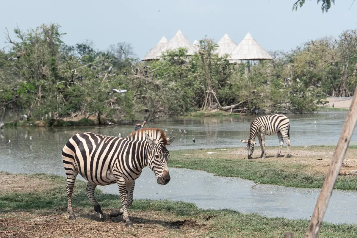 ดีจริงไหม? รีวิว 'Sony Alpha 7 V' หน้าตาคล้ายเดิม เพิ่มเติมฉลาดขึ้น