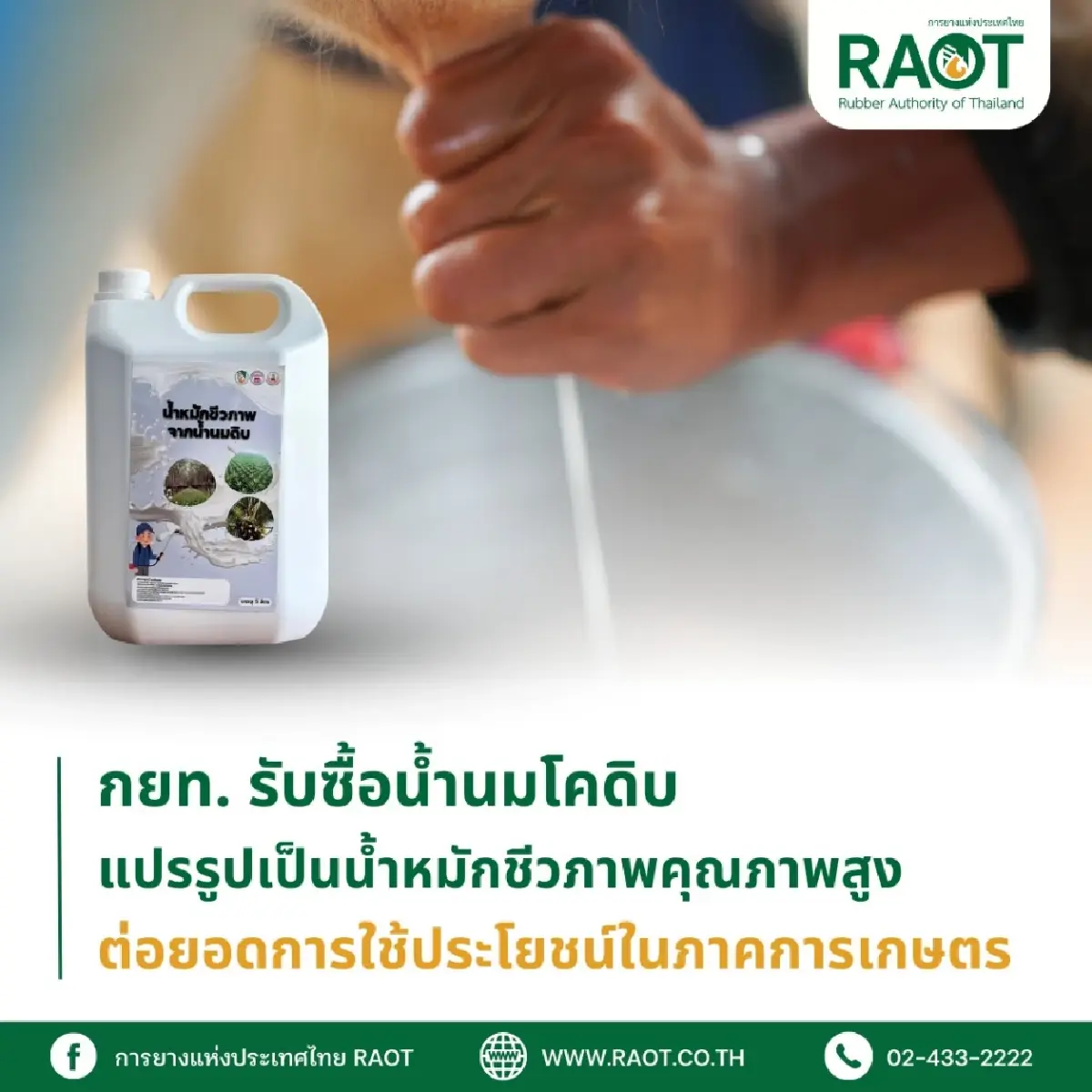 กยท.ผลิตน้ำหมักชีวภาพจากน้ำนมดิบสำเร็จ เตรียมขึ้นทะเบียนปุ๋ยอินทรีย์