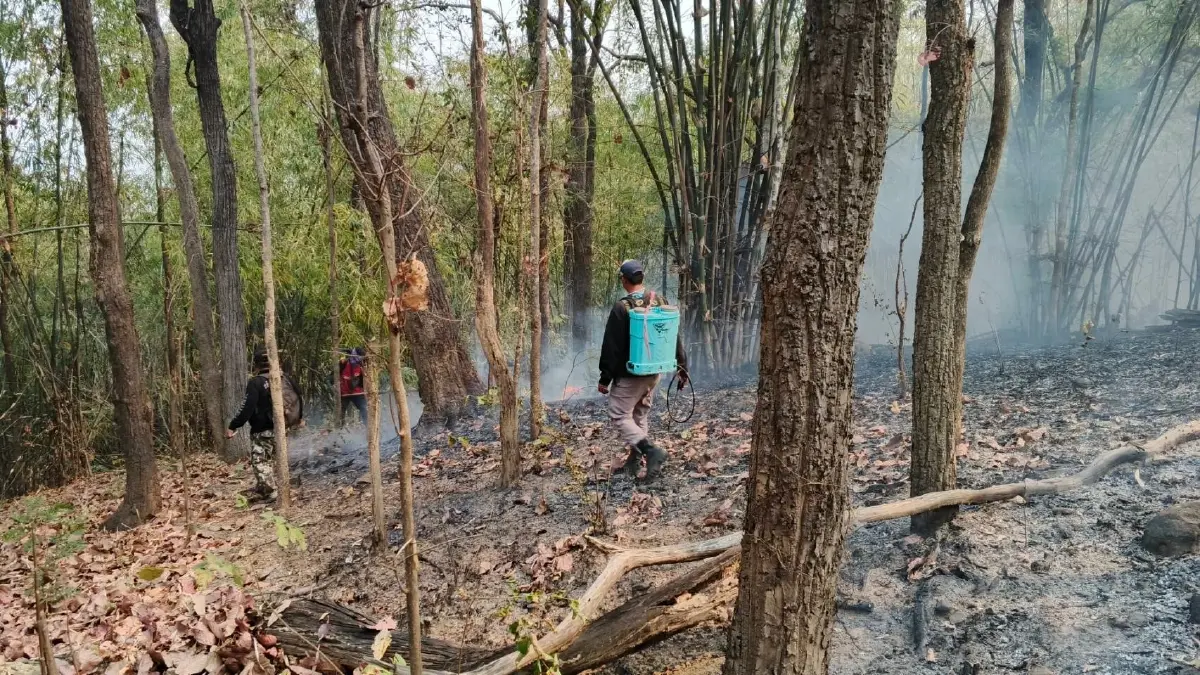 ไฟป่าลำปางลาม 3 จุด เผาวอดป่าเบญจพรรณกว่า 140 ไร่ เจ้าหน้าที่รุดสกัด