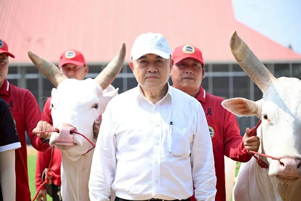 กระทรวงเกษตรฯเตรียมพระโคในพระราชพิธีพืชมงคลฯ ประจำปี 2569