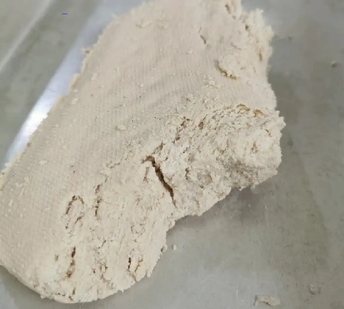 'ไมโคโปรตีน' อาหารแห่งอนาคต ผลิตจากเส้นใยเชื้อรา ไม่มีคอเลสเตอรอล แคลอรี่ต่ำ