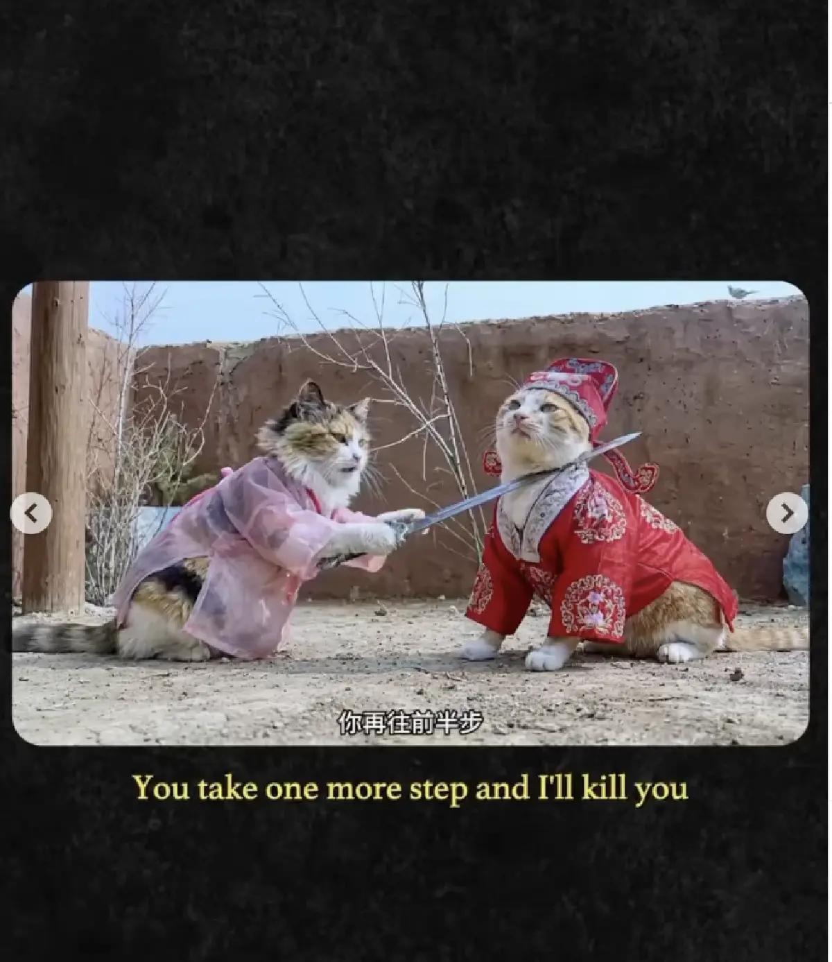 ละครหมาแมวแนวตั้ง กระแสแรง! ละครคุณธรรม นำแสดงโดย 'หมาแมว AI'