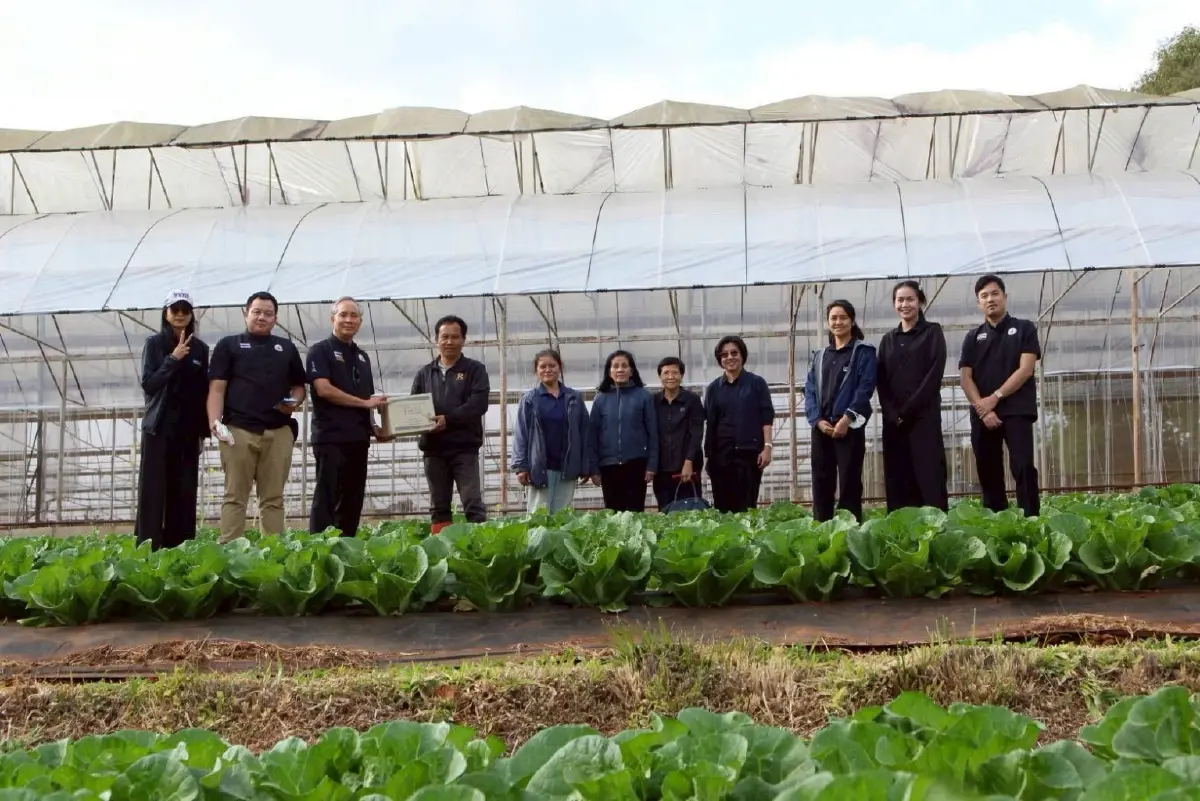 พด.16 สยบไส้เดือนฝอยรากปม ฟื้นดินโครงการหลวง เพิ่มรายได้เกษตรกร,