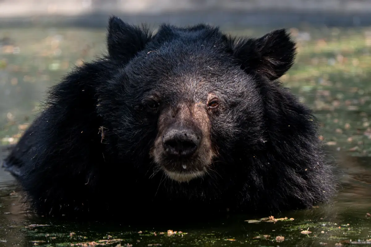 ดีจริงไหม? รีวิว 'Sony Alpha 7 V' หน้าตาคล้ายเดิม เพิ่มเติมฉลาดขึ้น