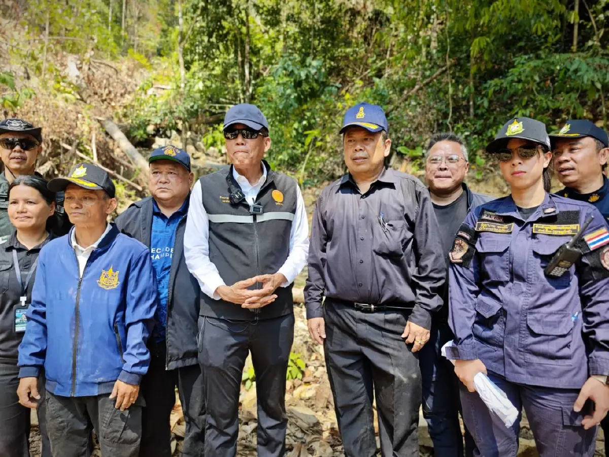 ตรวจป่าต้นน้ำระนองแหว่ง จ่อลากคอตัวการตัดไม้ ชง ปปง. อายัดยึดทรัพย์