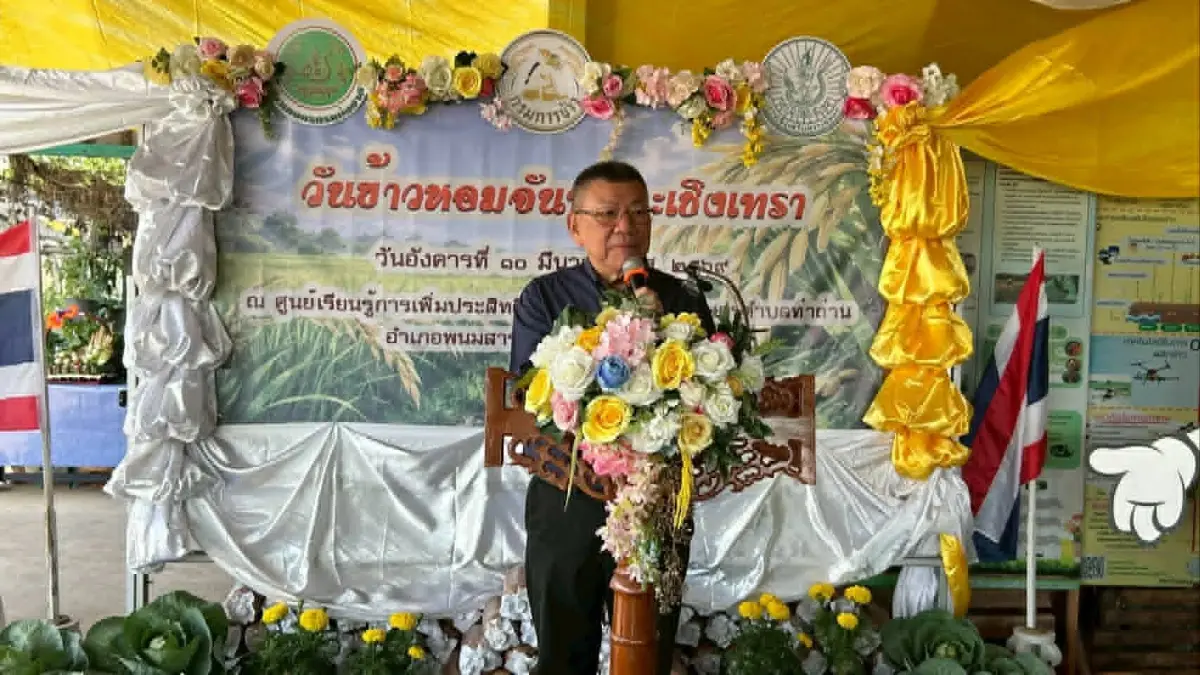 ดัน 'ข้าวหอมจันทร์' ขึ้นทะเบียน GI ยกระดับข้าวพรีเมียมฉะเชิงเทรา