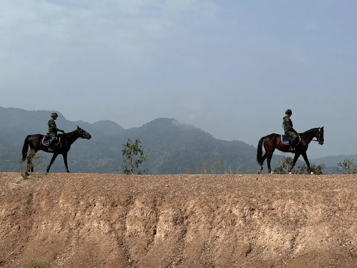 ทหารไทย ขี่ม้าลาดตระเวนป่าเชียงใหม่ ป้องกันไฟป่า สยบฝุ่น PM 2.5