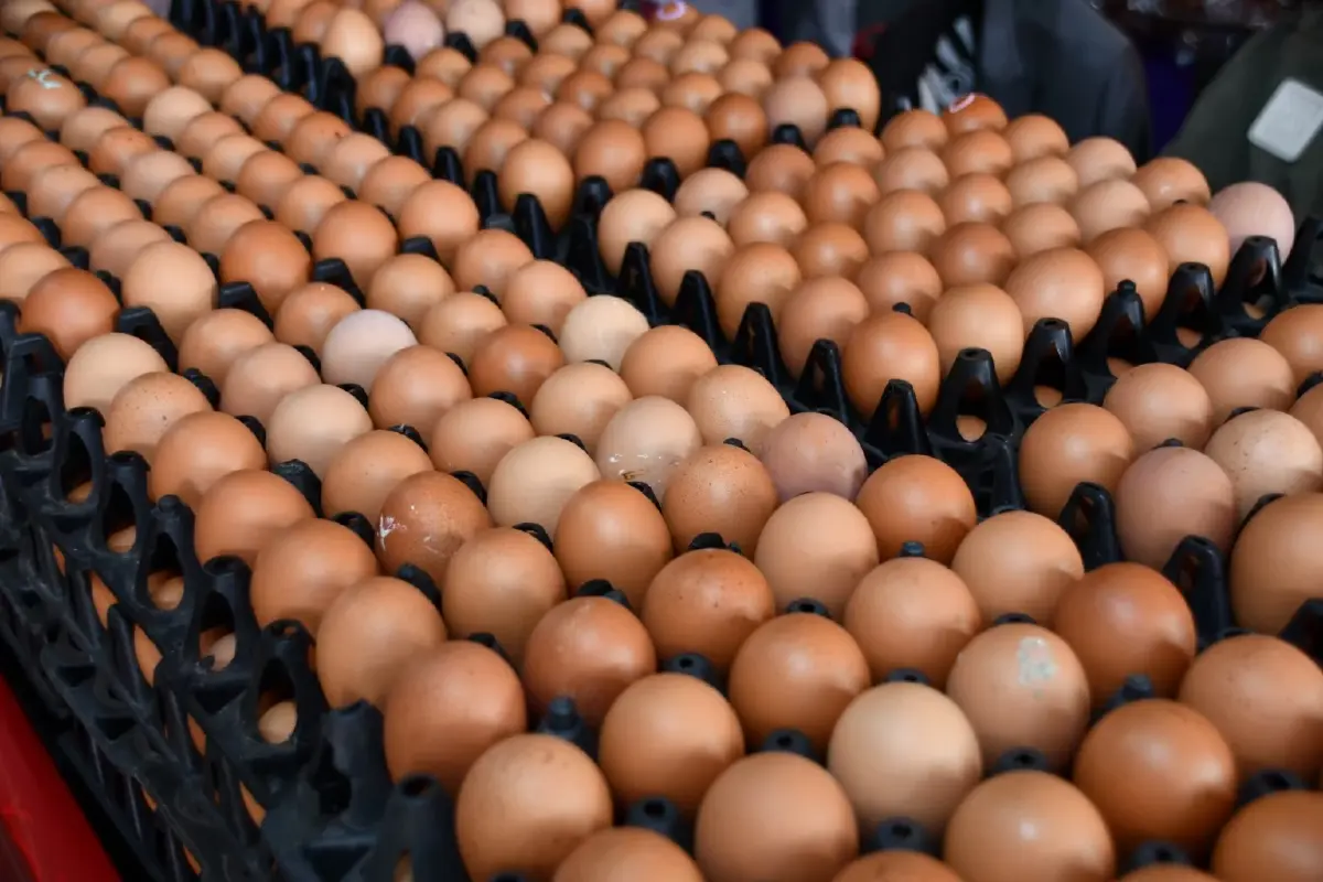 คนไทย อ่วม หมู ไก่ ไข่ ราคาพุ่ง สวนทางพาณิชย์ตรึงราคาสินค้า