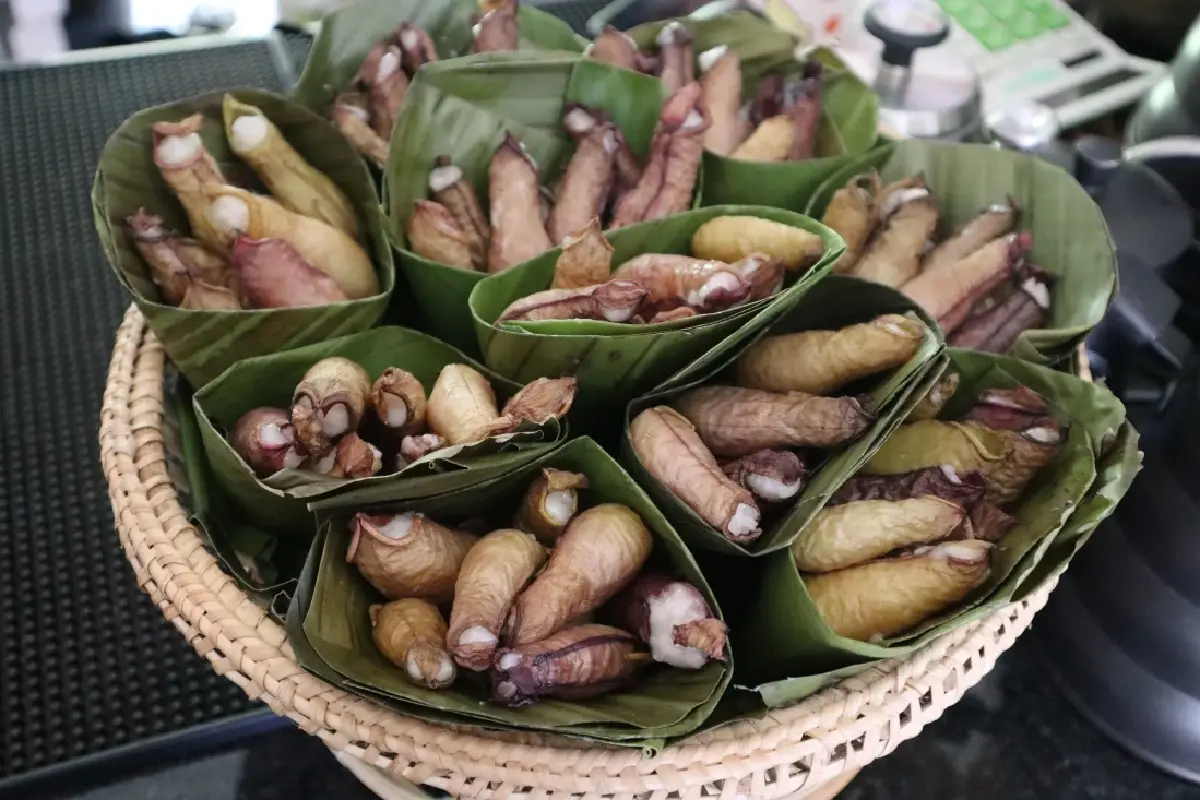 เดิน ‘หลาดแบกะดิน' กินอาหารสุขภาพ สัมผัสวิถีชุมชนเขาชัยสน