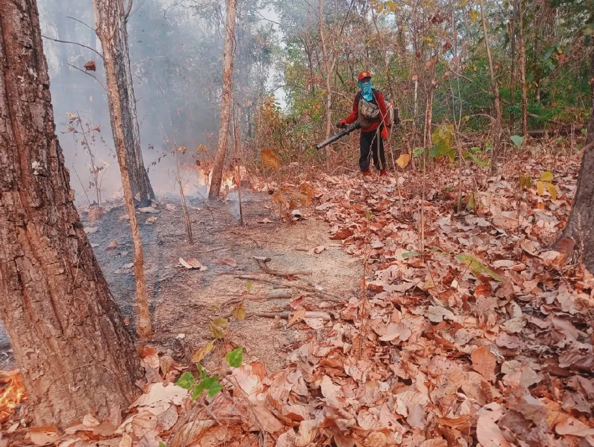 ไฟป่าลำปางลาม 3 จุด เผาวอดป่าเบญจพรรณกว่า 140 ไร่ เจ้าหน้าที่รุดสกัด