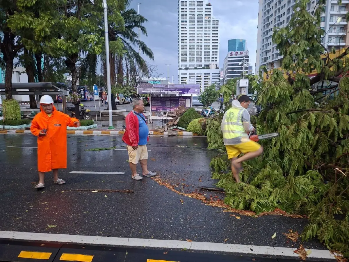 พายุฤดูร้อนถล่มกรุงเทพ 'ยานนาวา' ฝนตกหนัก ลมแรง ต้นไม้ล้มขวางถนน
