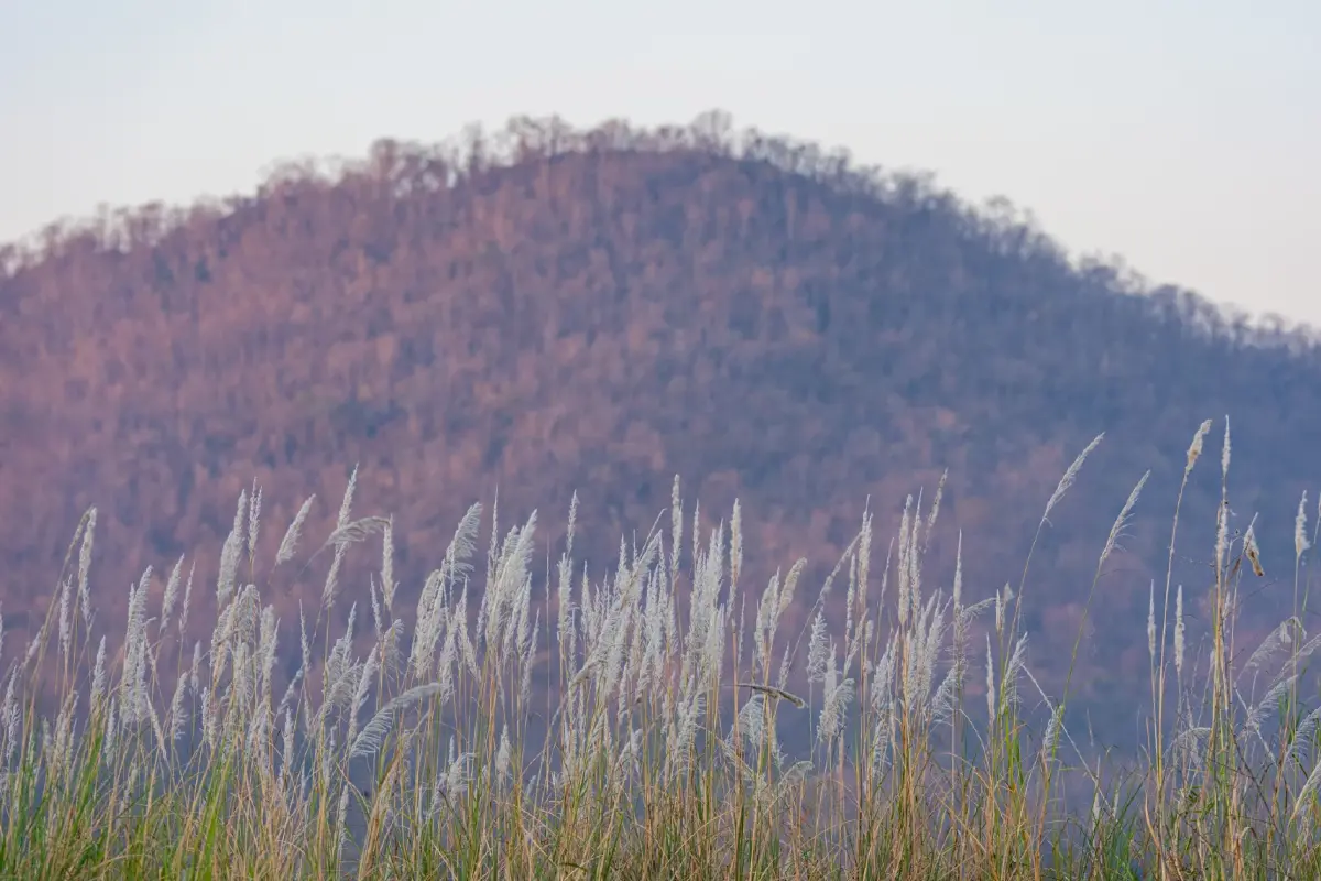 ดีจริงไหม? รีวิว 'Sony Alpha 7 V' หน้าตาคล้ายเดิม เพิ่มเติมฉลาดขึ้น