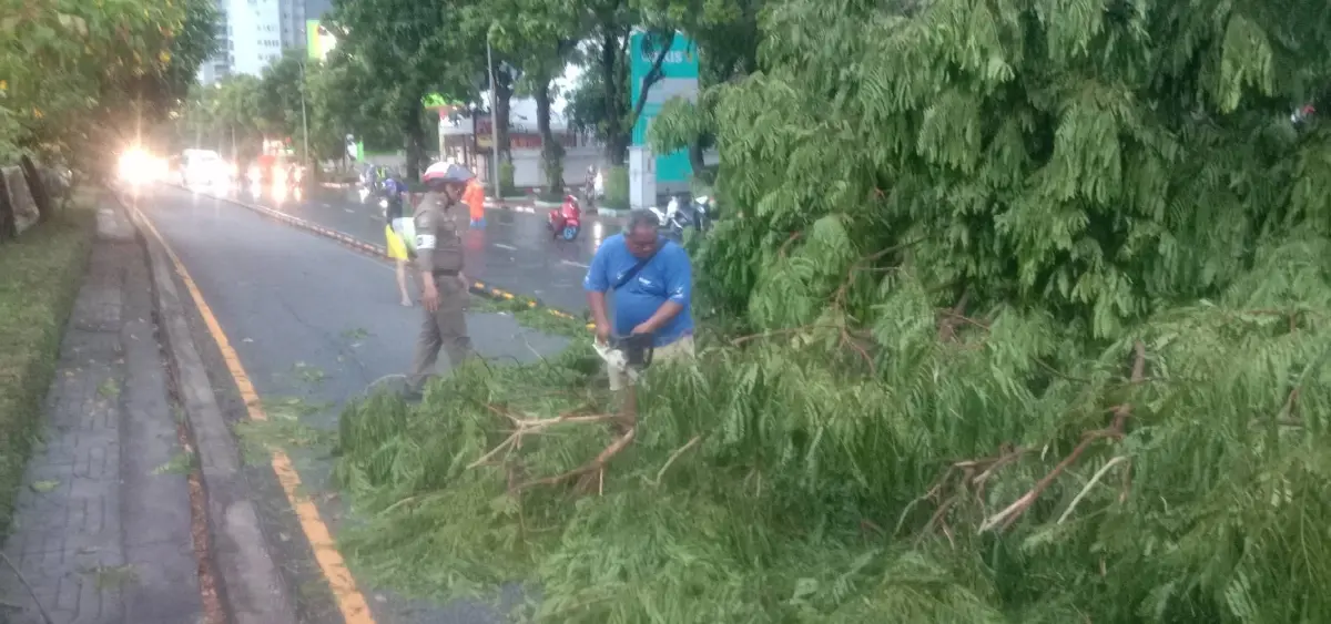 พายุฤดูร้อนถล่มกรุงเทพ 'ยานนาวา' ฝนตกหนัก ลมแรง ต้นไม้ล้มขวางถนน