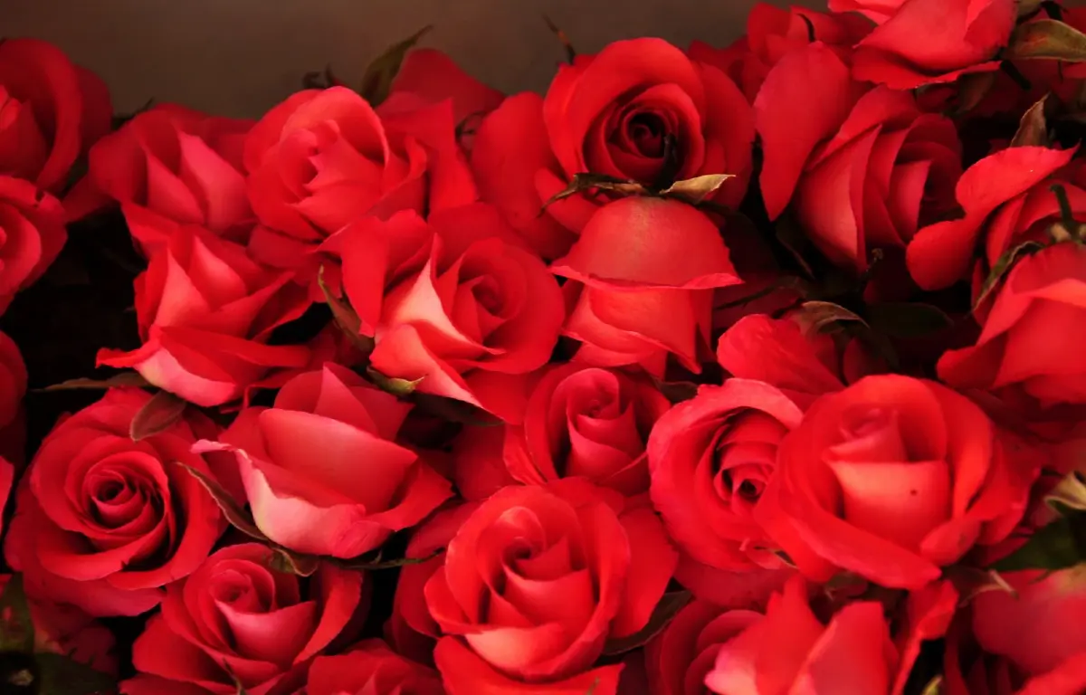 ไม่ได้พบพระ...ที่พบพระ