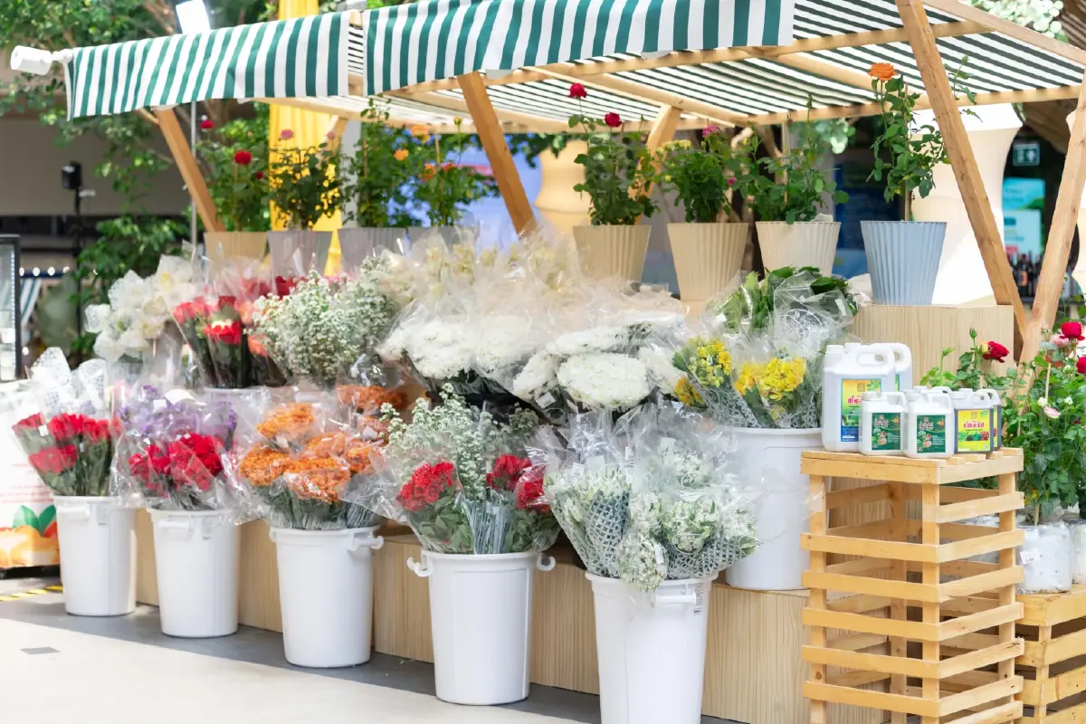 'โครงการหลวง' ชวนช้อปผลผลิตจากยอดดอย ธีม 'Taste of Longevity'