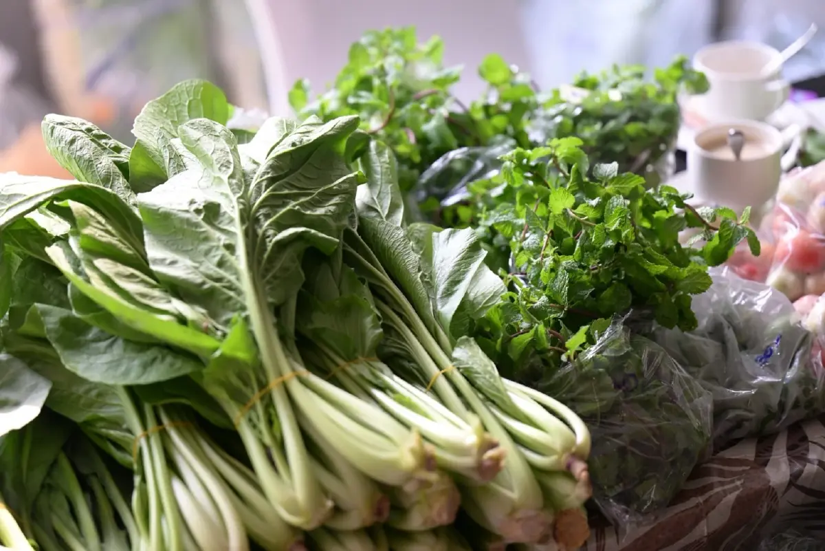 'เกษตรในเมือง' ปลูกผักเยียวยาเมือง ปลูกสุขภาวะคนกรุง