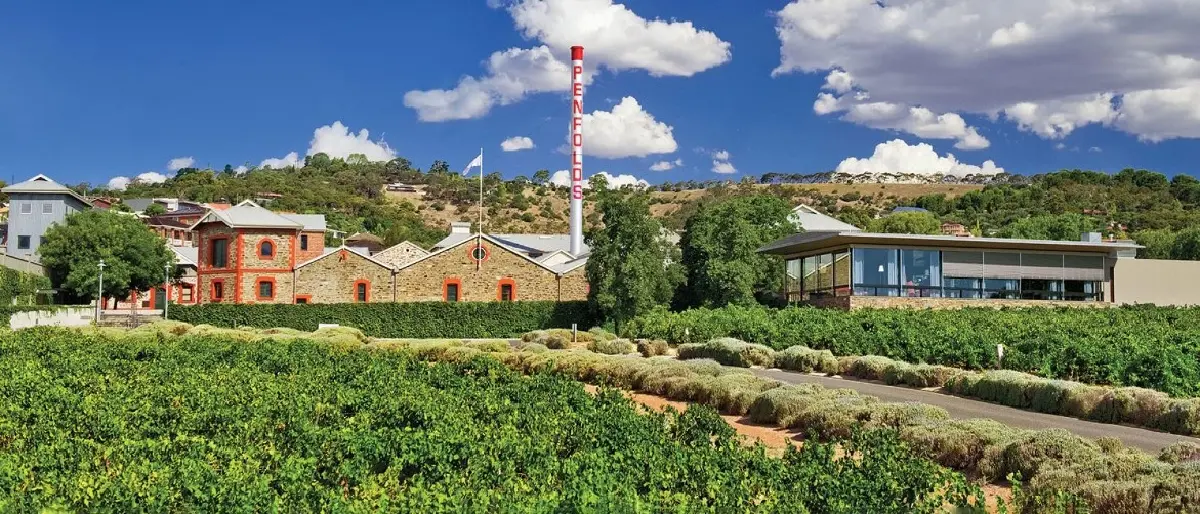 Penfolds (เพนโฟลด์ส) กับการขยายอาณาจักร