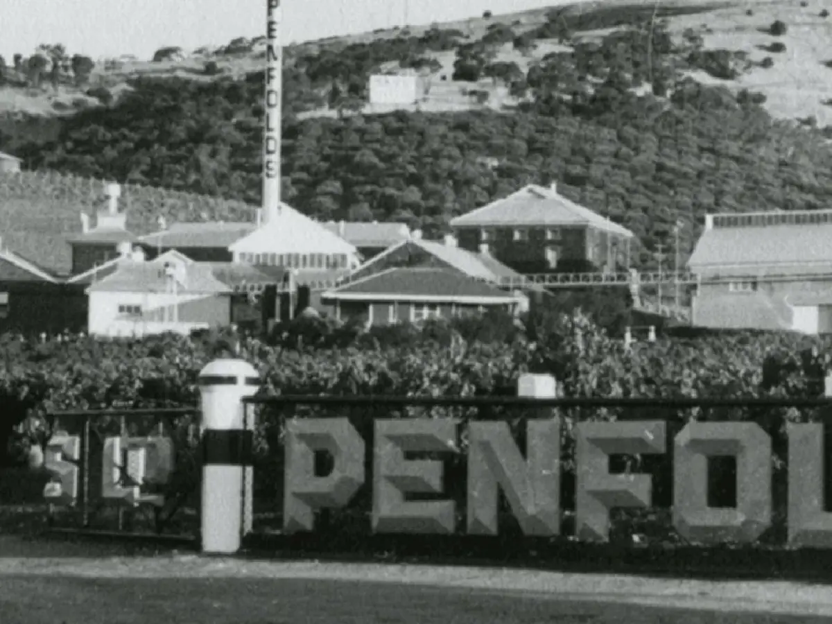 Penfolds (เพนโฟลด์ส) กับการขยายอาณาจักร