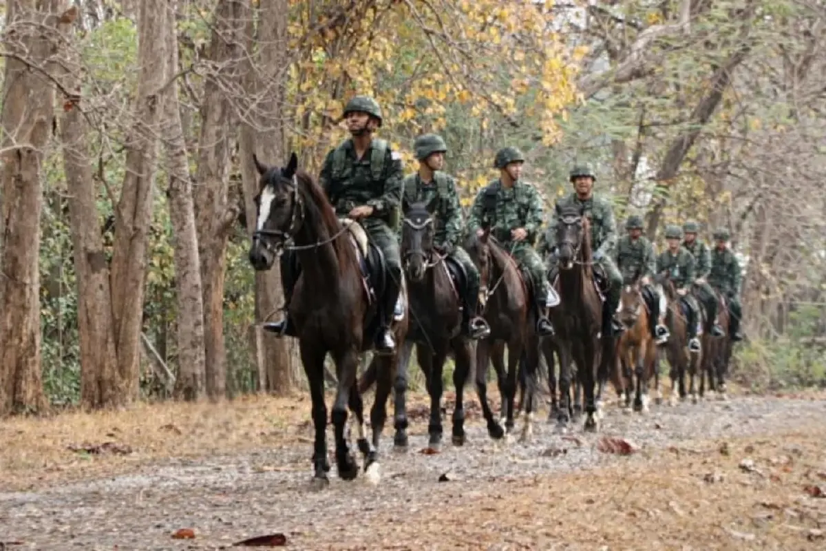 ทหารไทย ขี่ม้าลาดตระเวนป่าเชียงใหม่ ป้องกันไฟป่า สยบฝุ่น PM 2.5