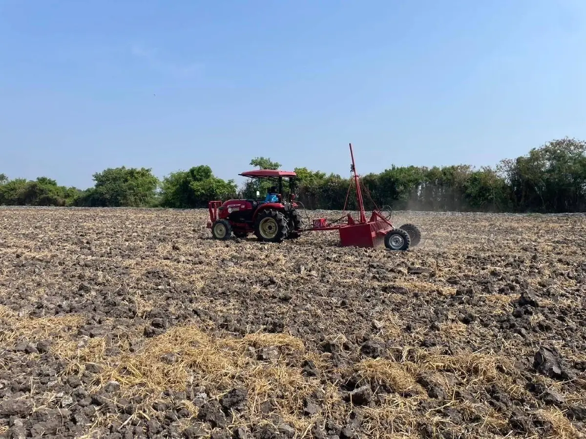 ต้นแบบ 'ข้าวโลว์คาร์บอน' ของไทย ข้าวชาวนาร่วมใจพื้นที่ภาคกลาง